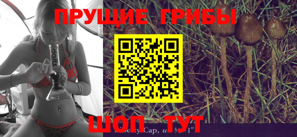 Галлюциногенные грибы мухоморы  Вход с VPN  Елец 